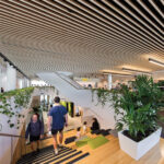 Bioliphic Design - Corporate office spaces