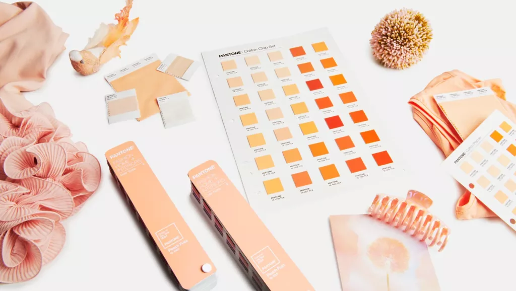Pantone Color of the Year 2024, Peach Fuzz
