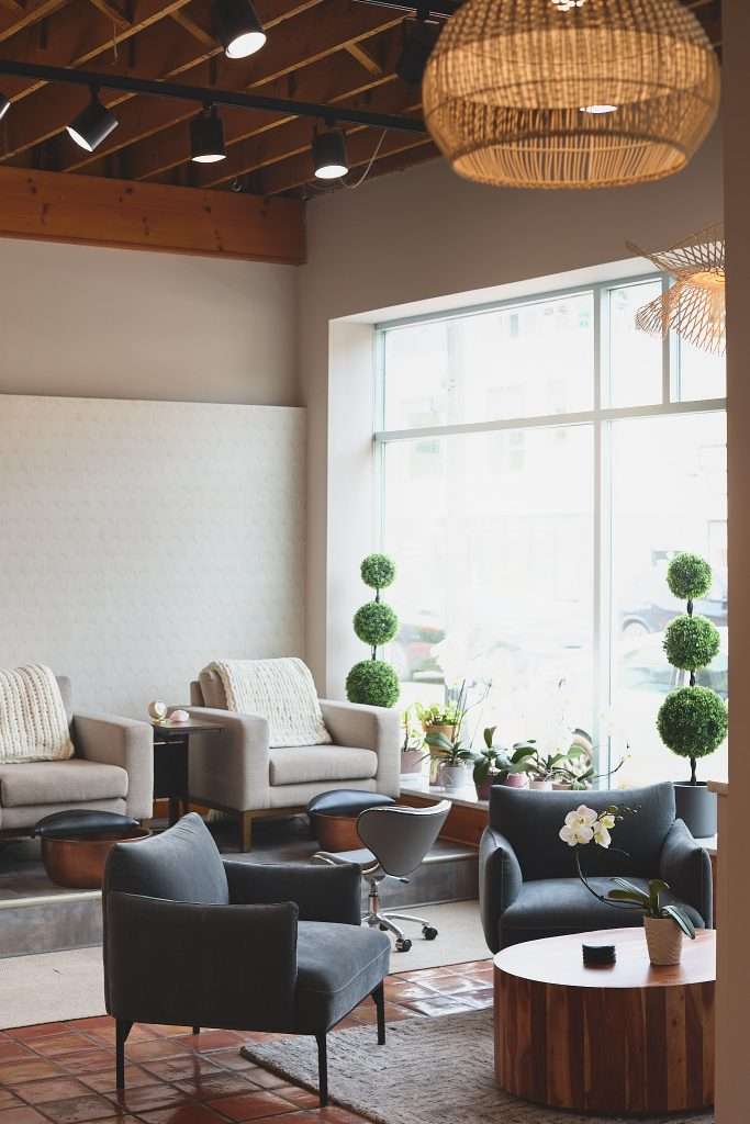 Aurora Spa 11 Modern, cozy interior with plants. Horizontal view of Aurora spa waiting area in the front window
