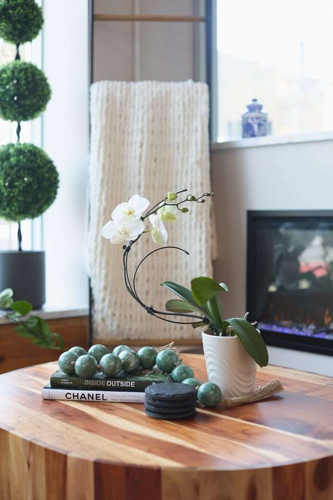 Aurora Spa 9 horizontal image of the coffee table and lounge area at Aurora Spa in Minneapolis with a fine knit throw blanked in the background and a Japanese curated tree. Accessory design by Tiffany Hanken Design