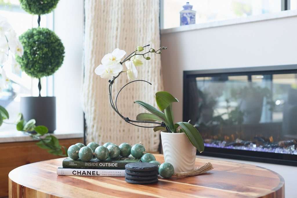 Aurora Spa 8 Waiting area with Chanel and other books on coffee table in front of fireplace at Aurora Spa. Interior Design and accessory placement by Tiffany Hanken Design