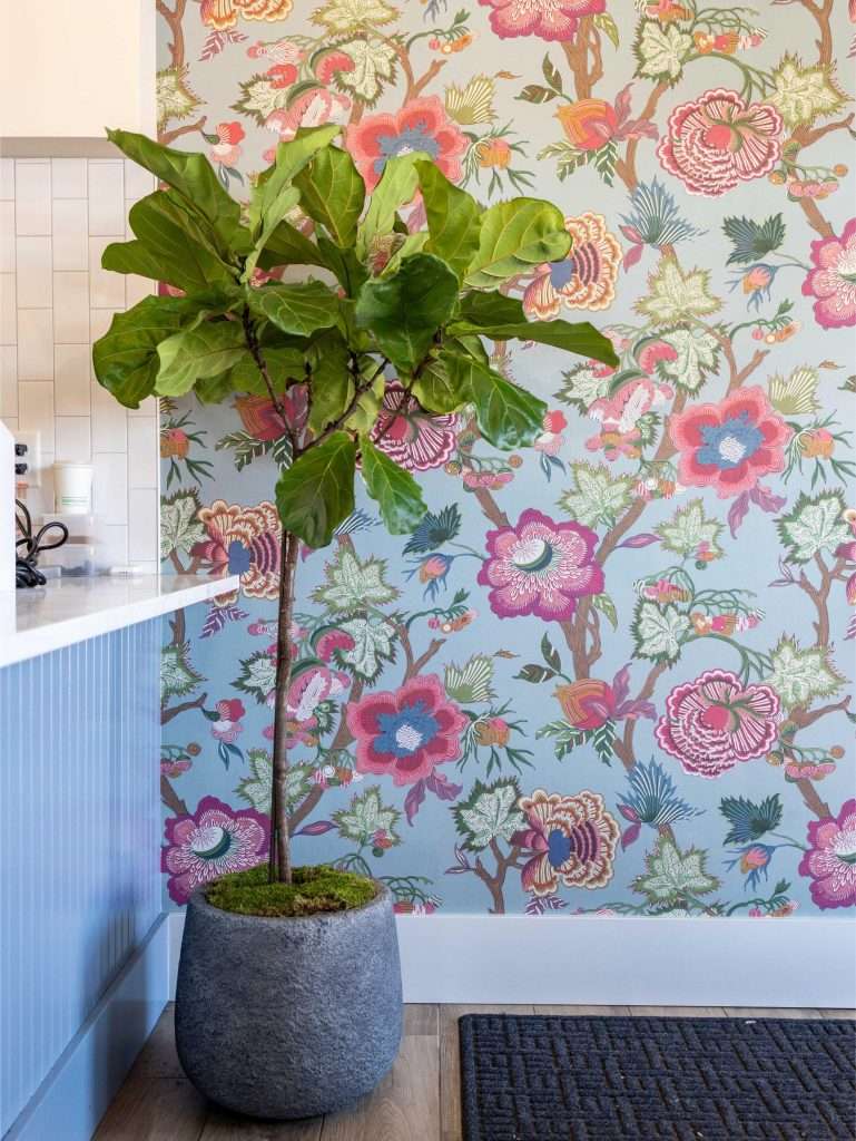 Oh Crêpe! Creperie & Café 22 Potted plant against floral wallpaper