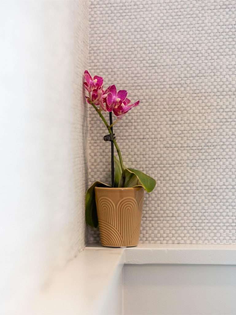 Oh Crêpe! Creperie & Café 18 Orchid in decorative pot against wall