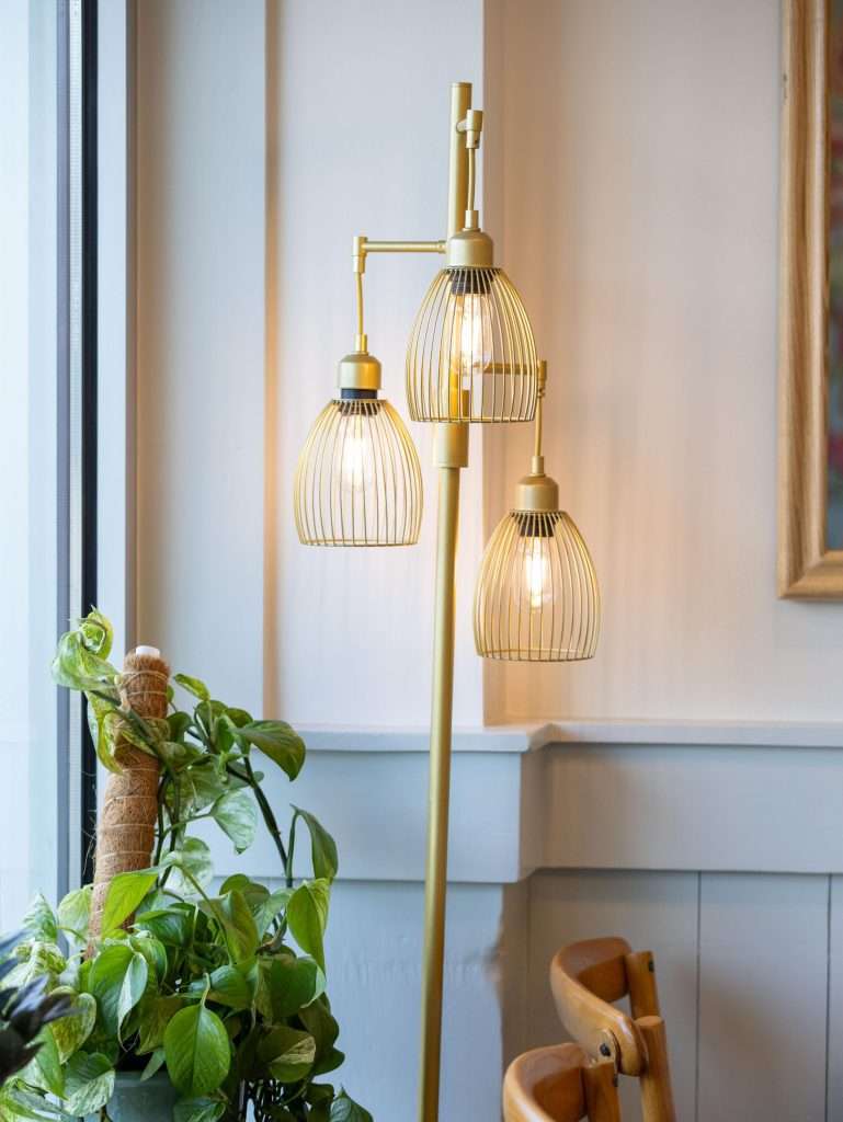 Oh Crêpe! Creperie & Café 7 Stylish floor lamp with plants at Oh Crepe Edina