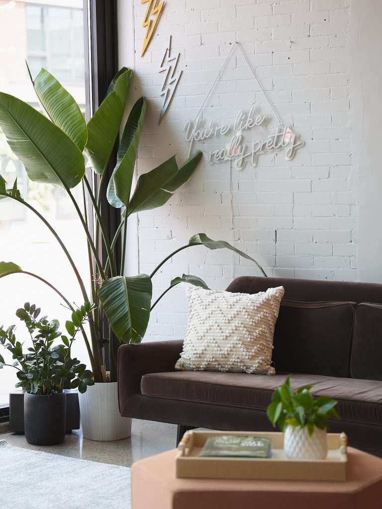 Mill City Laser 8 "You're like really pretty" neon sign on wall with tall green plants at Mill City Laser