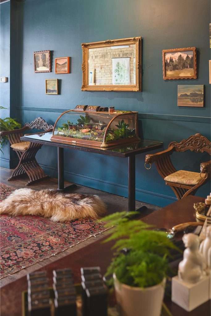 Minneapolis Restaurant Design 2 Decorative room with aquarium and plants